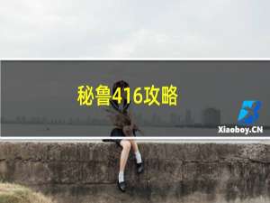 秘鲁416攻略