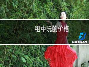 租中阮的价格