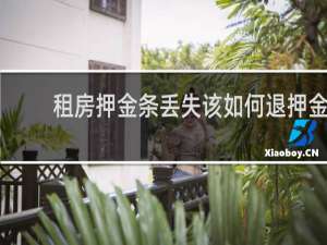 租房押金条丢失该如何退押金