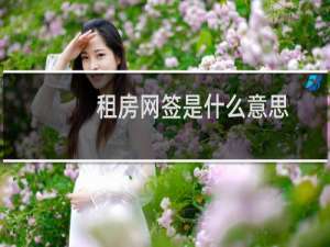 租房网签是什么意思