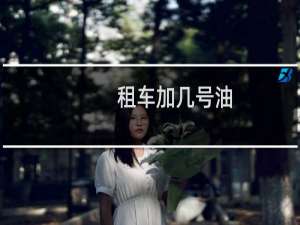 租车加几号油