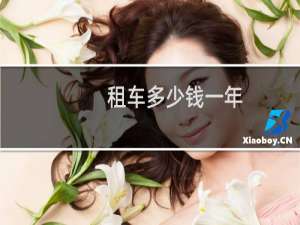 租车多少钱一年
