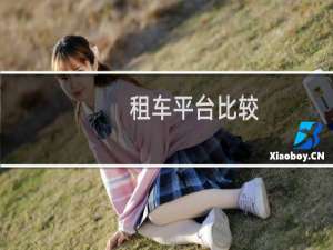 租车平台比较