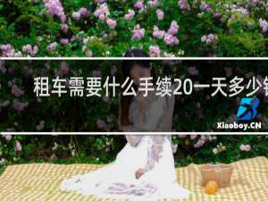 租车需要什么手续 一天多少钱