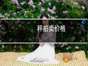 秤拍卖价格