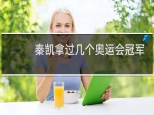 秦凯拿过几个奥运会冠军