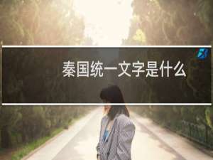 秦国统一文字是什么（秦国统一文字是什么字）