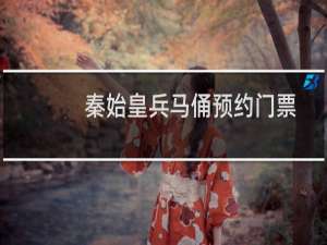 秦始皇兵马俑预约门票