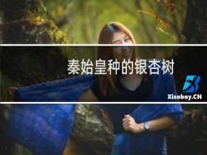 秦始皇种的银杏树