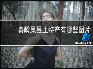 秦岭凤县土特产有哪些图片