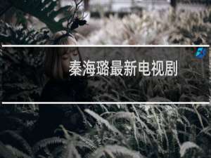 秦海璐最新电视剧