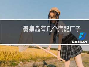 秦皇岛有几个汽配厂子