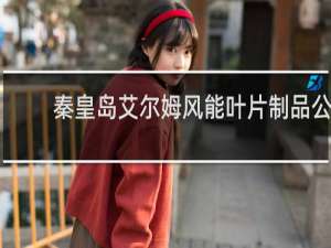 秦皇岛艾尔姆风能叶片制品公司怎么样