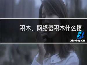 积木、网络语积木什么梗