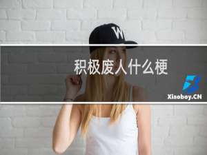 积极废人什么梗