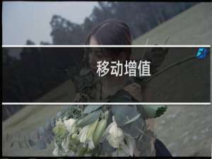 移动增值
