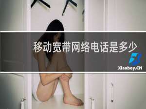 移动宽带网络电话是多少