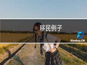 移民例子