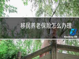 移民养老保险怎么办理