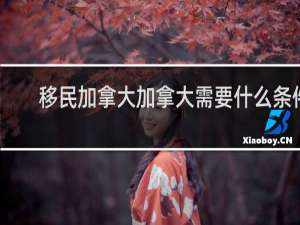 移民加拿大加拿大需要什么条件