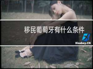 移民葡萄牙有什么条件