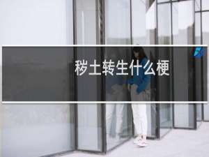 秽土转生什么梗
