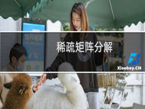 稀疏矩阵分解（稀疏）