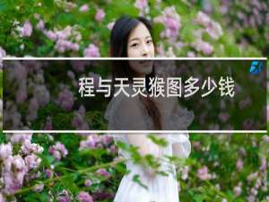 程与天灵猴图多少钱