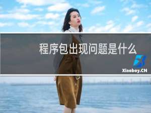程序包出现问题是什么意思?（解释程序包出现问题是什么原因）