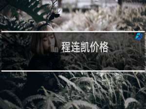 程连凯价格