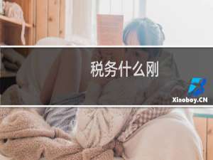 税务什么刚