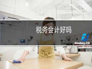 税务会计好吗