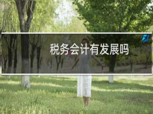 税务会计有发展吗