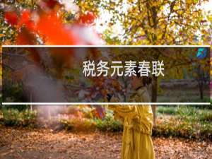 税务元素春联