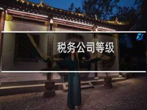 税务公司等级