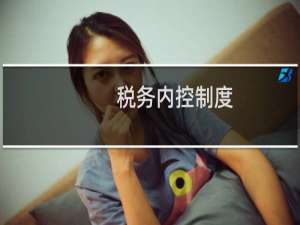 税务内控制度