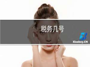税务几号