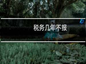 税务几年不报