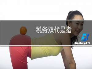 税务双代是指