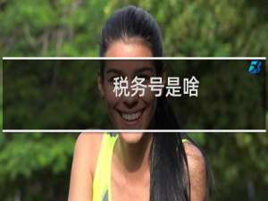 税务号是啥