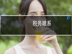 税务啥系