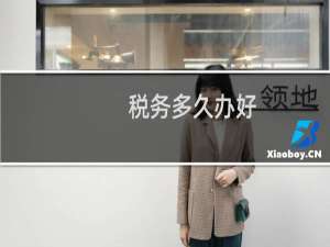 税务多久办好
