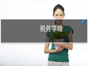 税务学啥