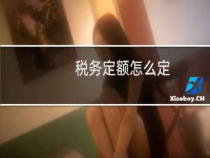 税务定额怎么定