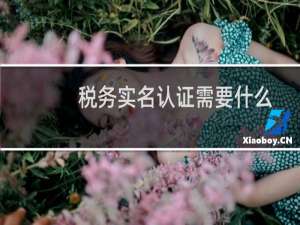 税务实名认证需要什么