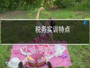 税务实训特点
