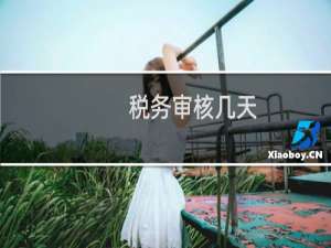 税务审核几天