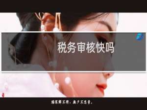 税务审核快吗