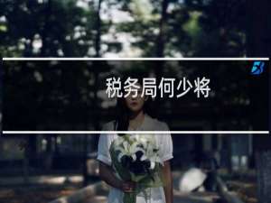 税务局何少将