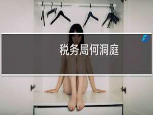 税务局何洞庭